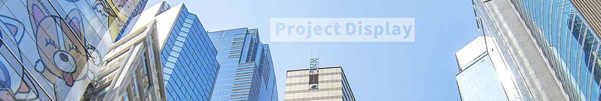 Project
